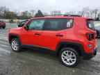 2019 JEEP Renegade
