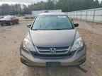 2010 HONDA CR-V