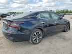 2023 NISSAN Maxima