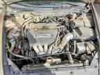 2003 HONDA ACCORD