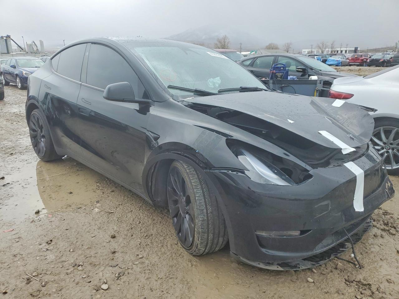 2025 TESLA MODEL Y
