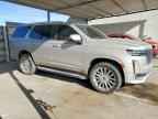 2021 CADILLAC ESCALADE