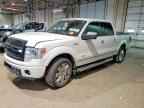 2014 FORD F-150 Lightning