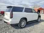 2024 CADILLAC ESCALADE