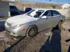 2004 LEXUS ES 330