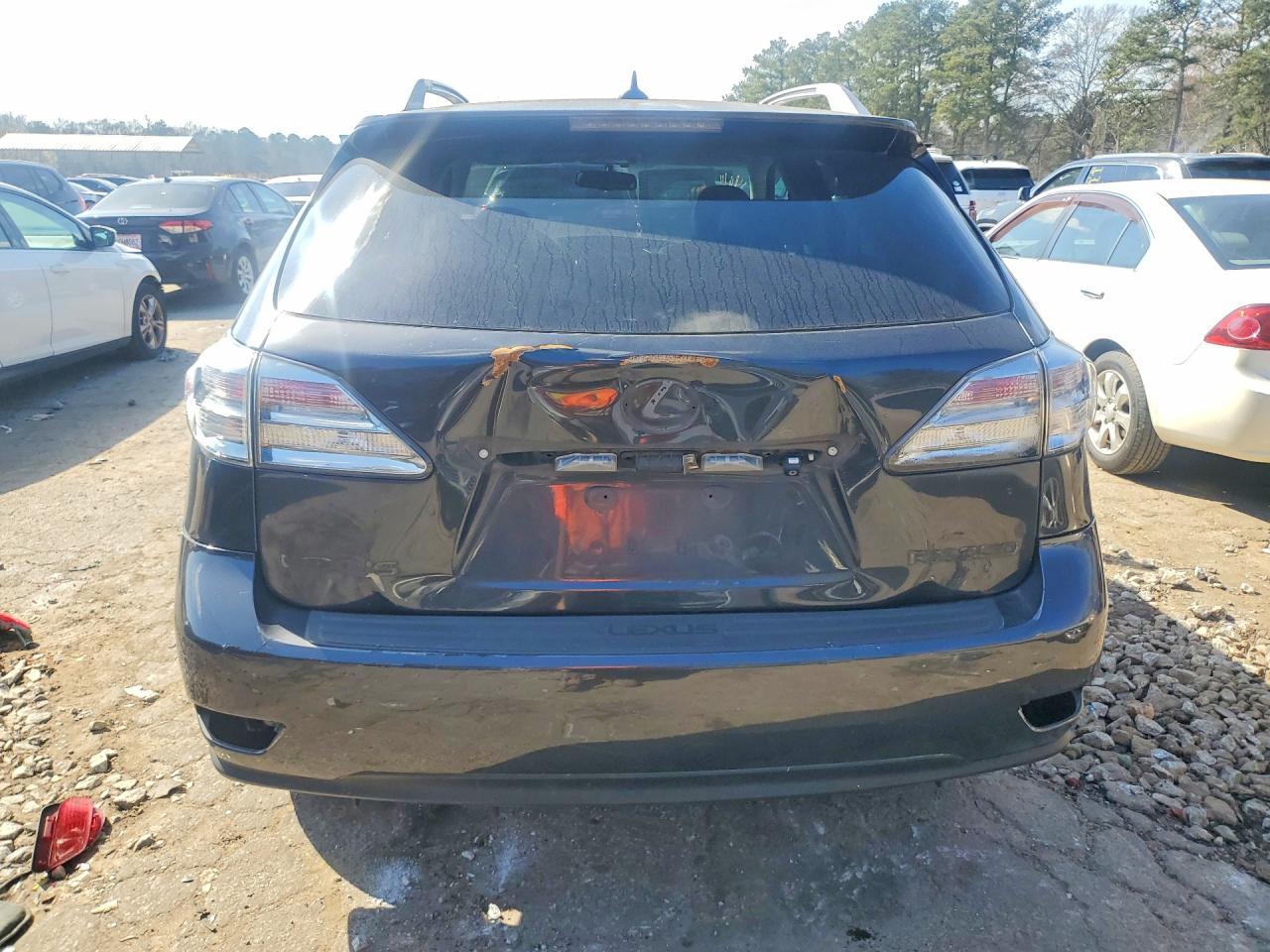 2010 LEXUS RX 350
