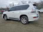2018 LEXUS GX 460