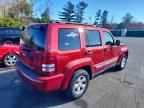 2010 JEEP Liberty