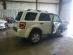 2009 FORD ESCAPE