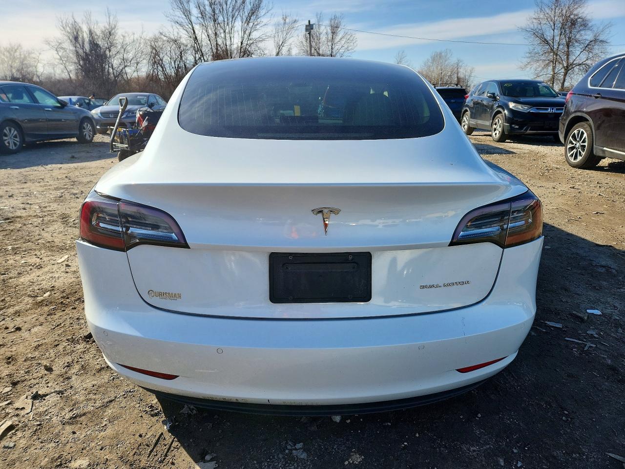 2019 TESLA MODEL 3