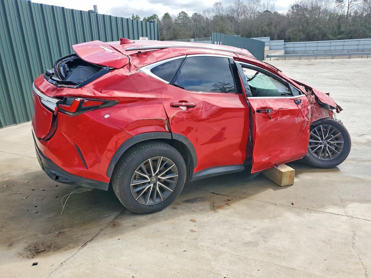2024 LEXUS NX 250