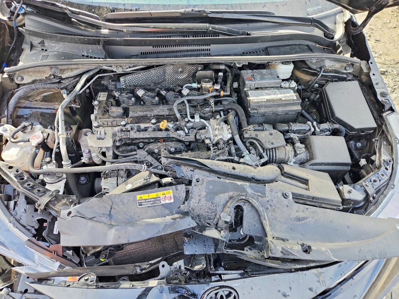 2025 TOYOTA COROLLA