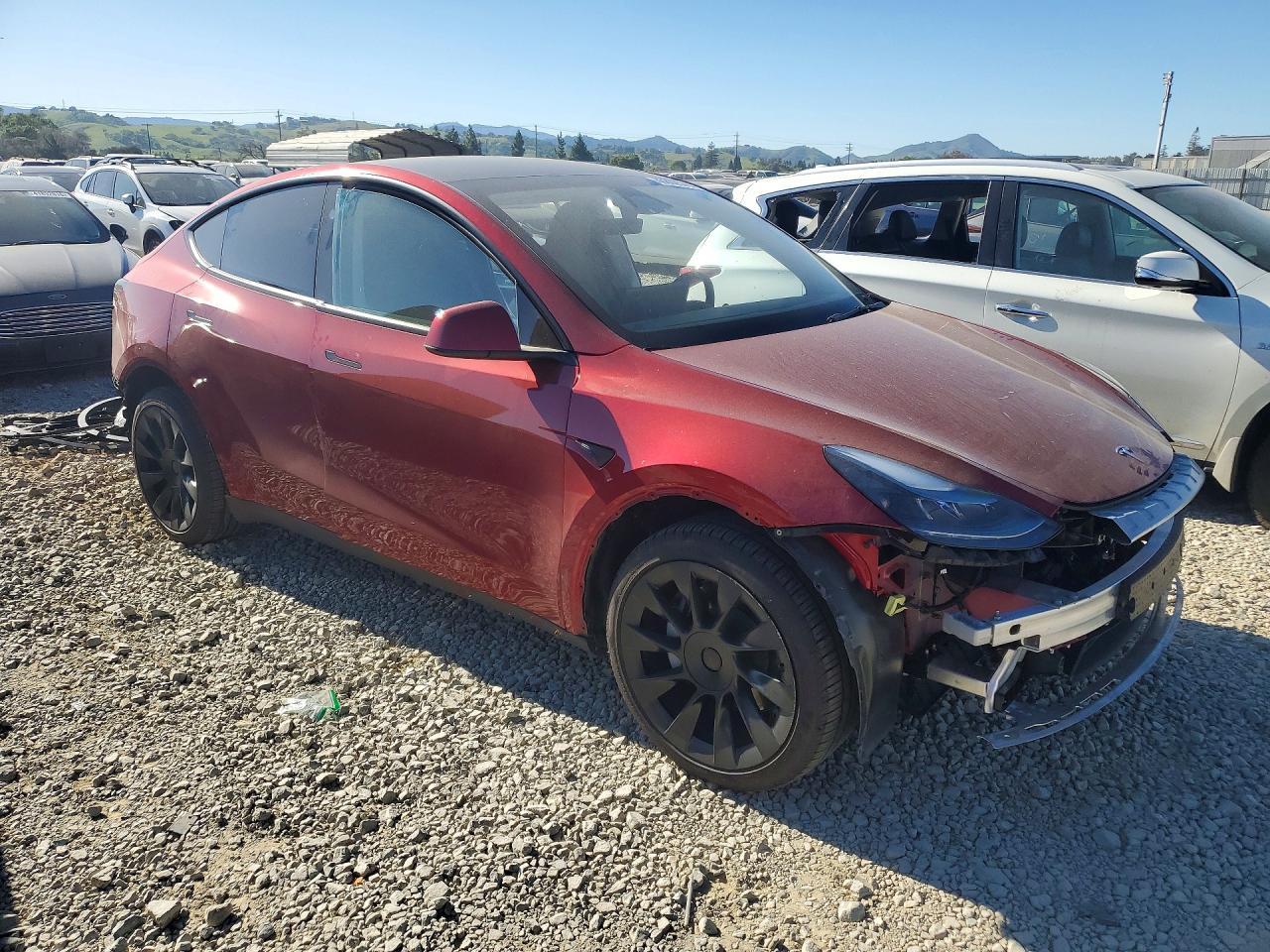 2025 TESLA MODEL Y