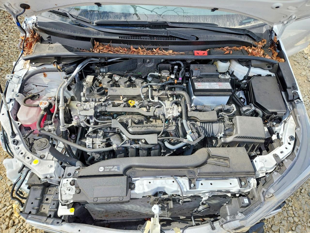 2023 TOYOTA COROLLA