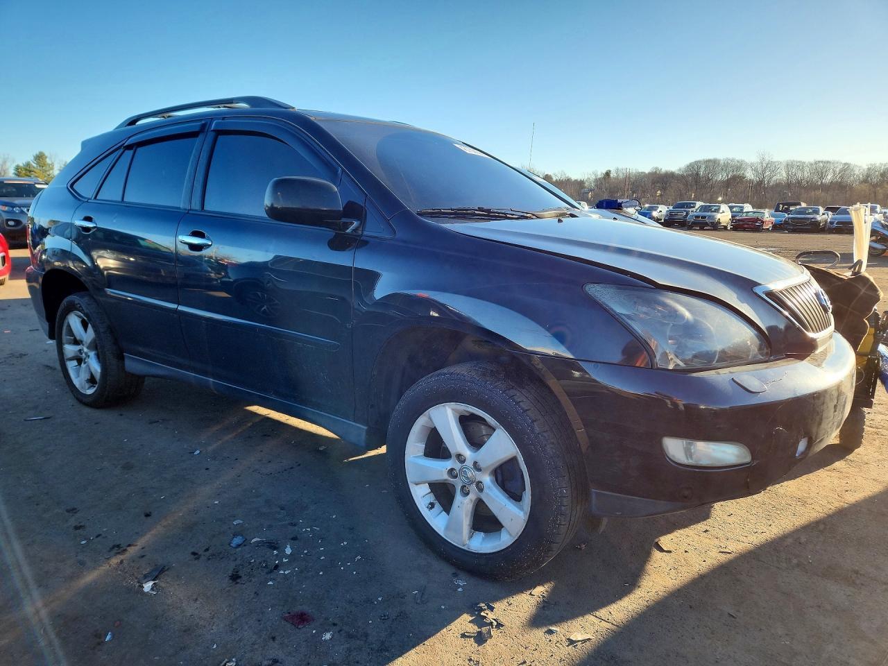 2004 LEXUS Rx 330