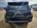 2023 TOYOTA 4Runner