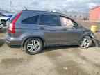 2010 HONDA CR-V