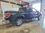 2014 FORD F-150 Lightning