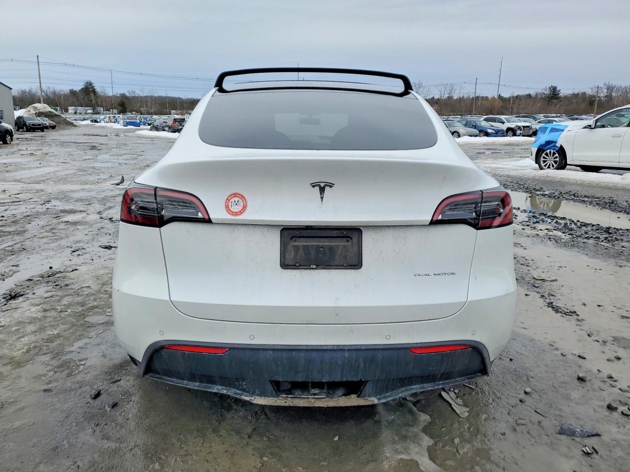 2021 TESLA MODEL Y