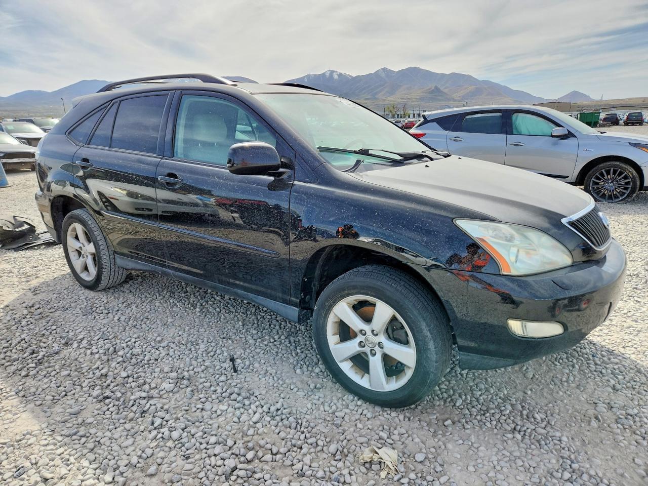 2007 LEXUS RX 350