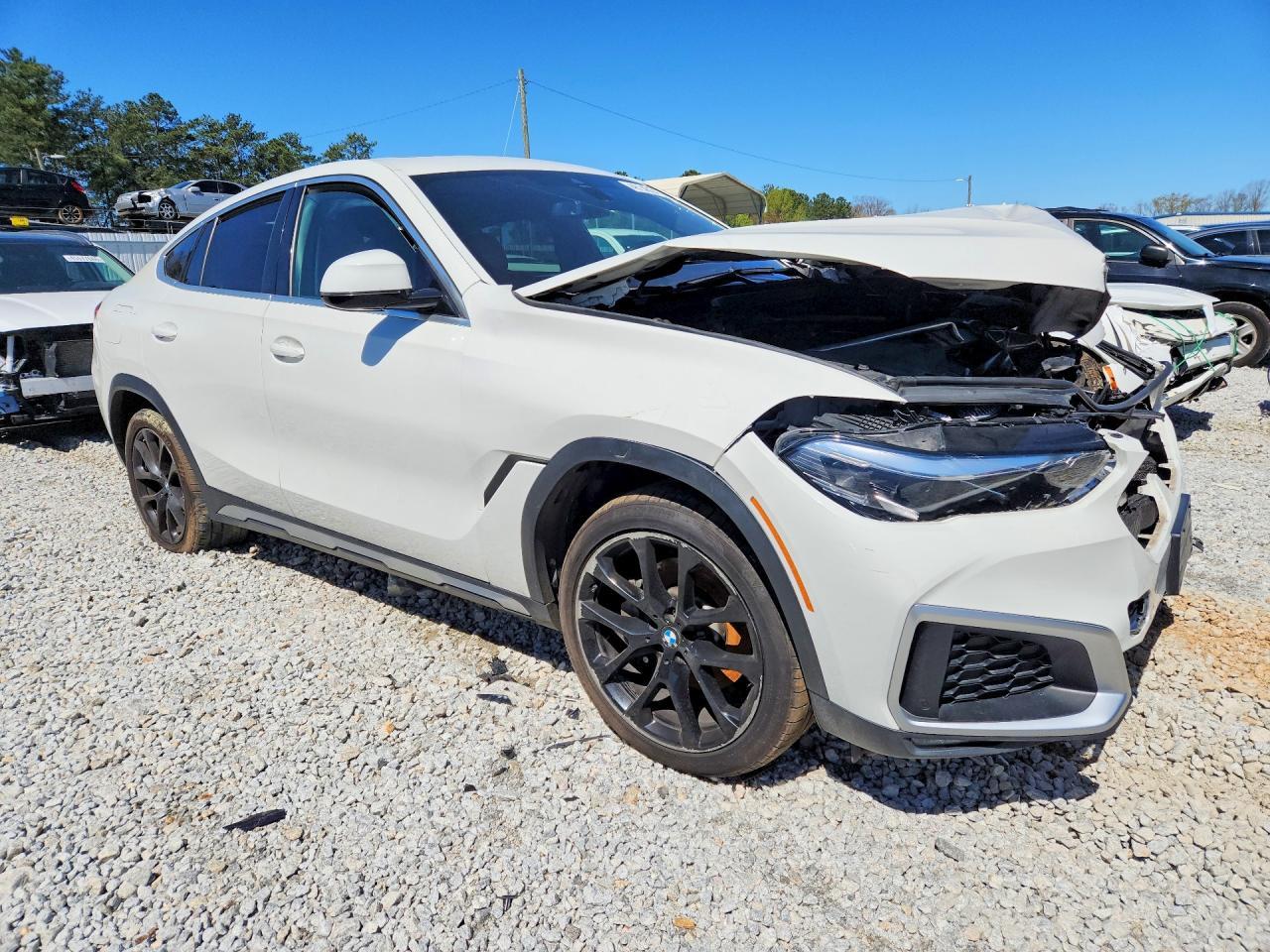 2021 BMW X6