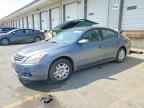 2010 NISSAN ALTIMA