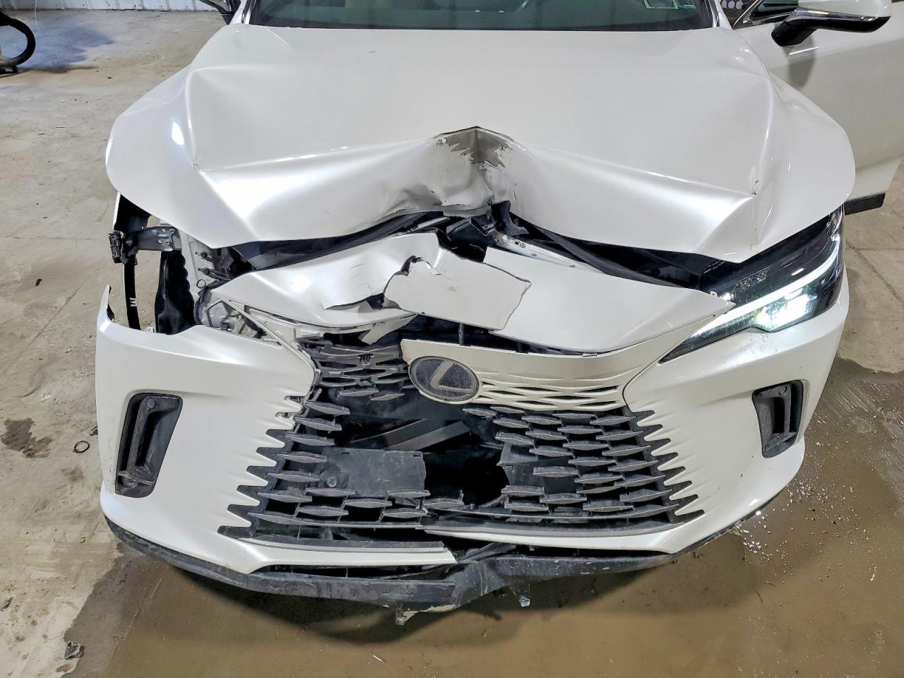 2025 LEXUS RX 350