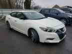 2016 NISSAN Maxima
