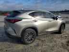 2024 LEXUS NX 250