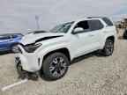 2025 TOYOTA 4Runner