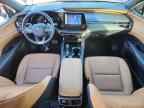 2025 LEXUS RX 350