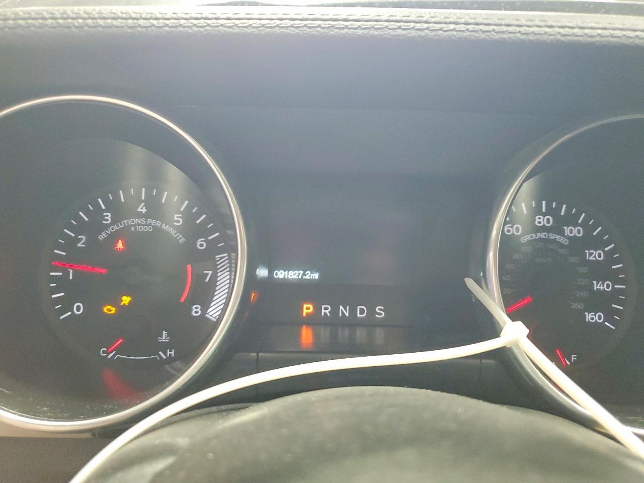 2019 FORD MUSTANG