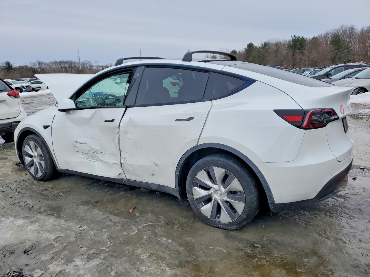 2021 TESLA MODEL Y
