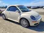 2008 VOLKSWAGEN Beetle