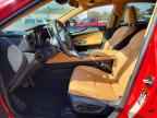2024 LEXUS NX 250