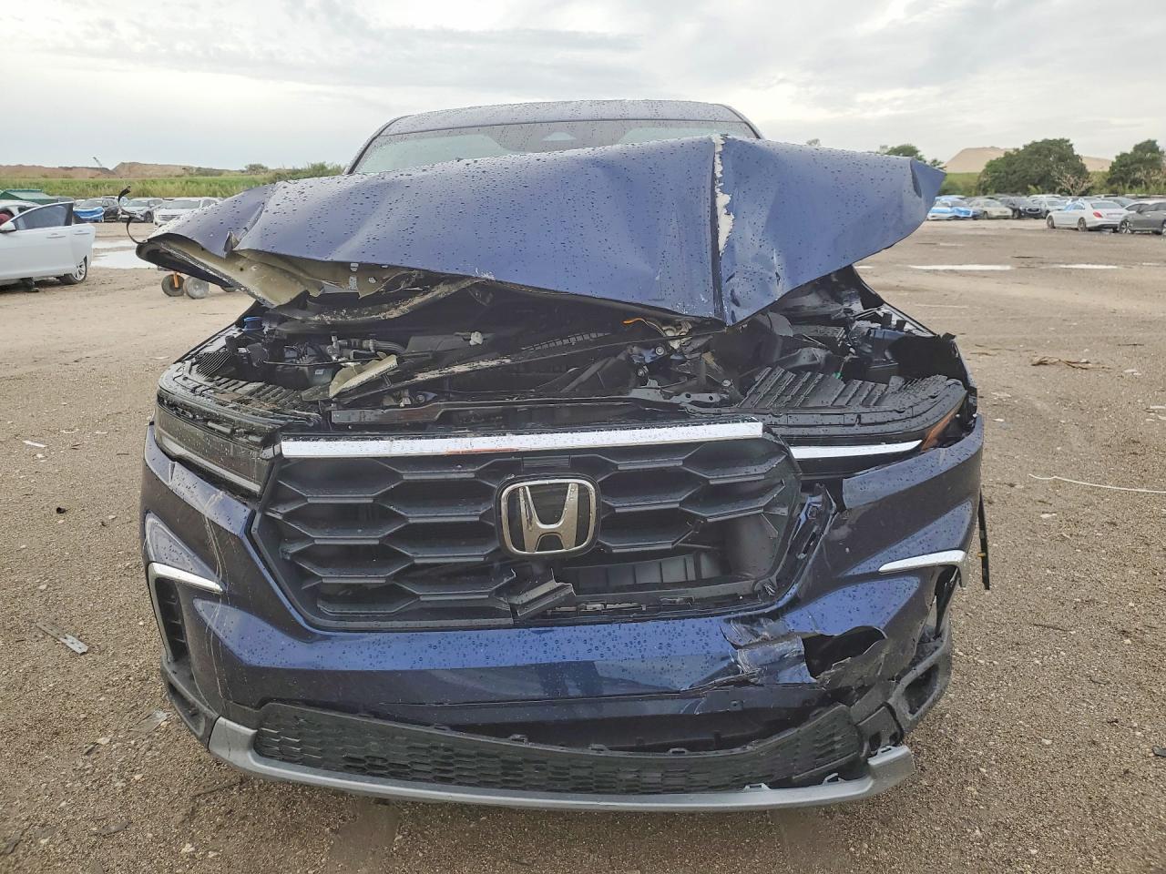 2025 HONDA PILOT