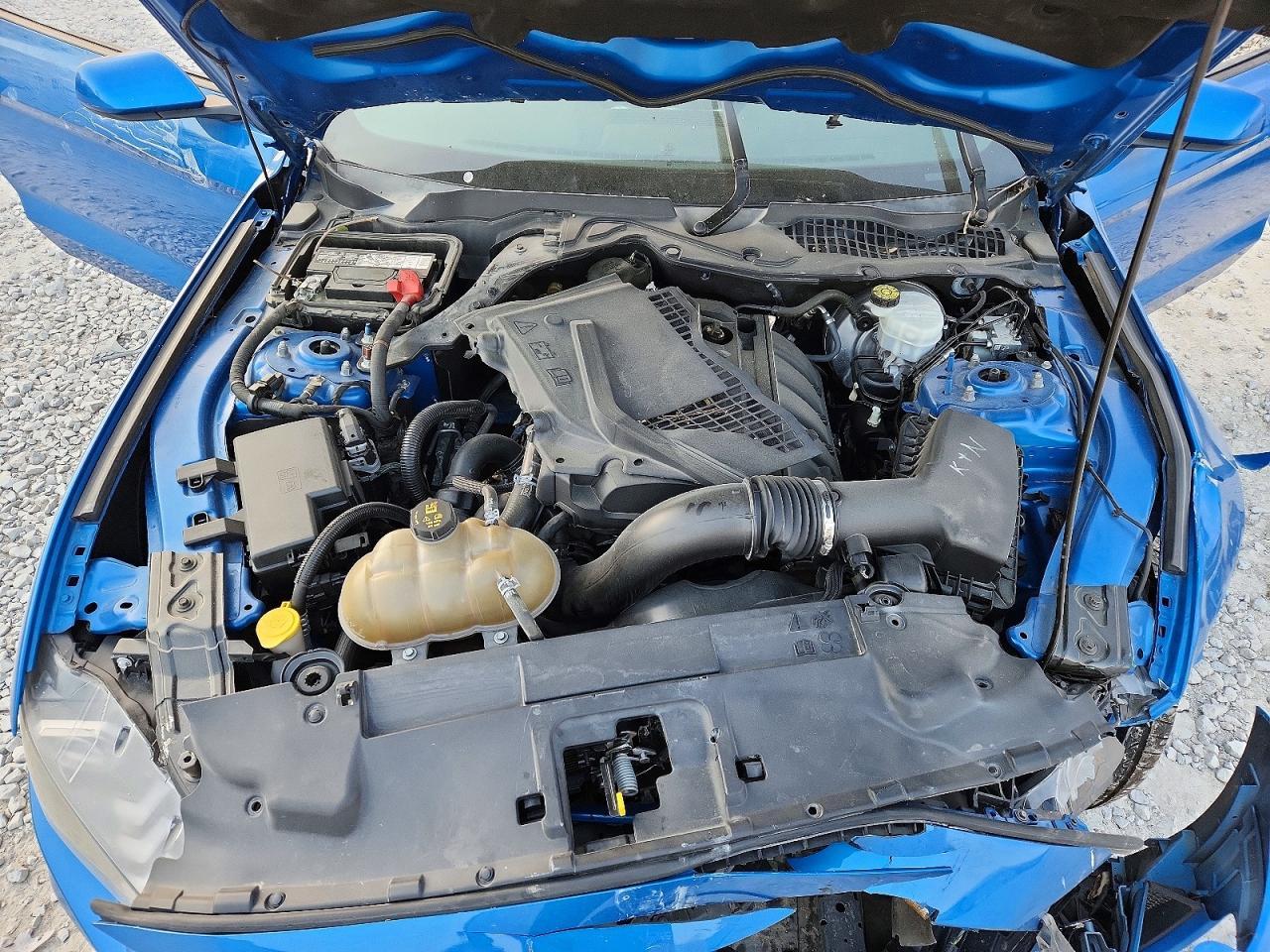 2019 FORD MUSTANG