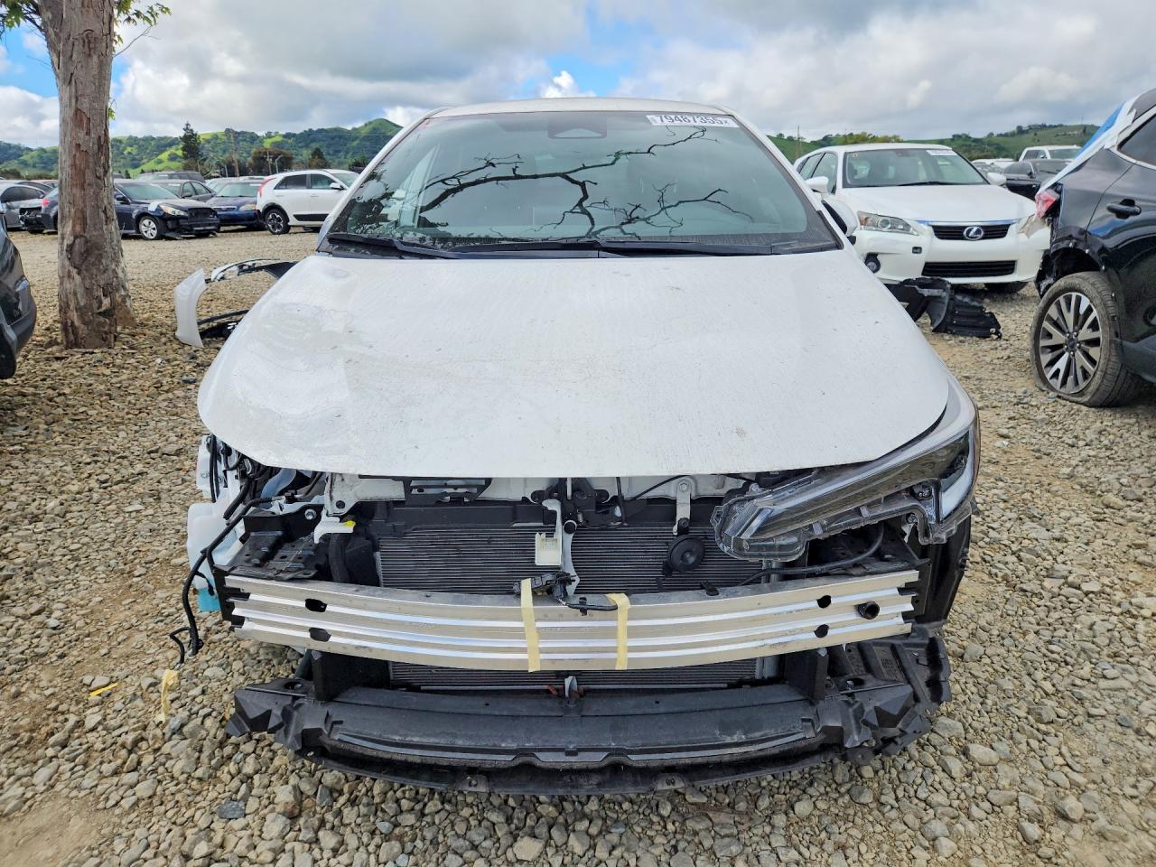 2023 TOYOTA COROLLA