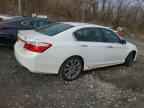 2013 Hond Accord