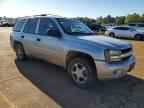 2007 CHEVROLET Trailblazer
