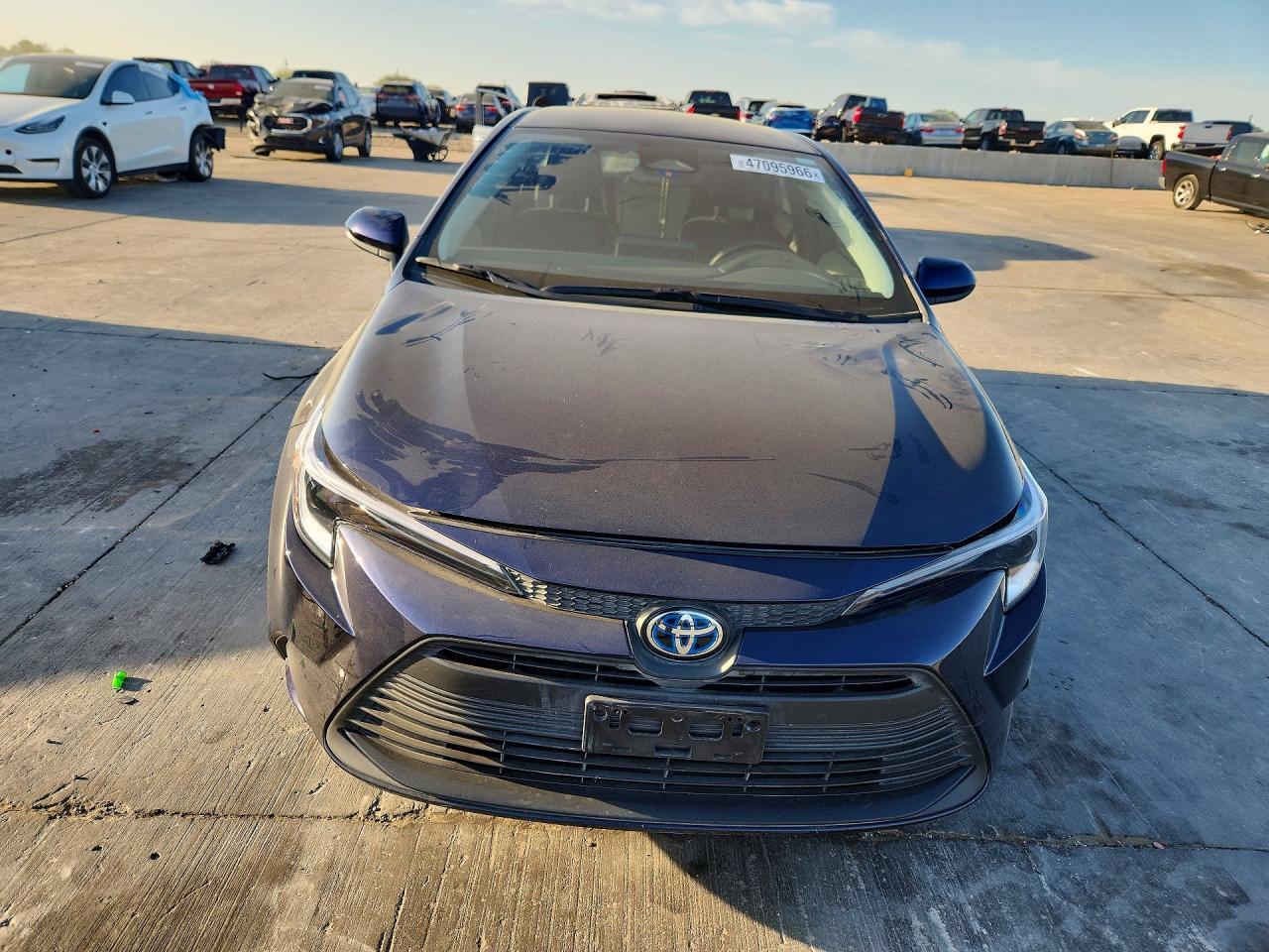 2025 TOYOTA COROLLA