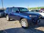 2024 TOYOTA 4Runner
