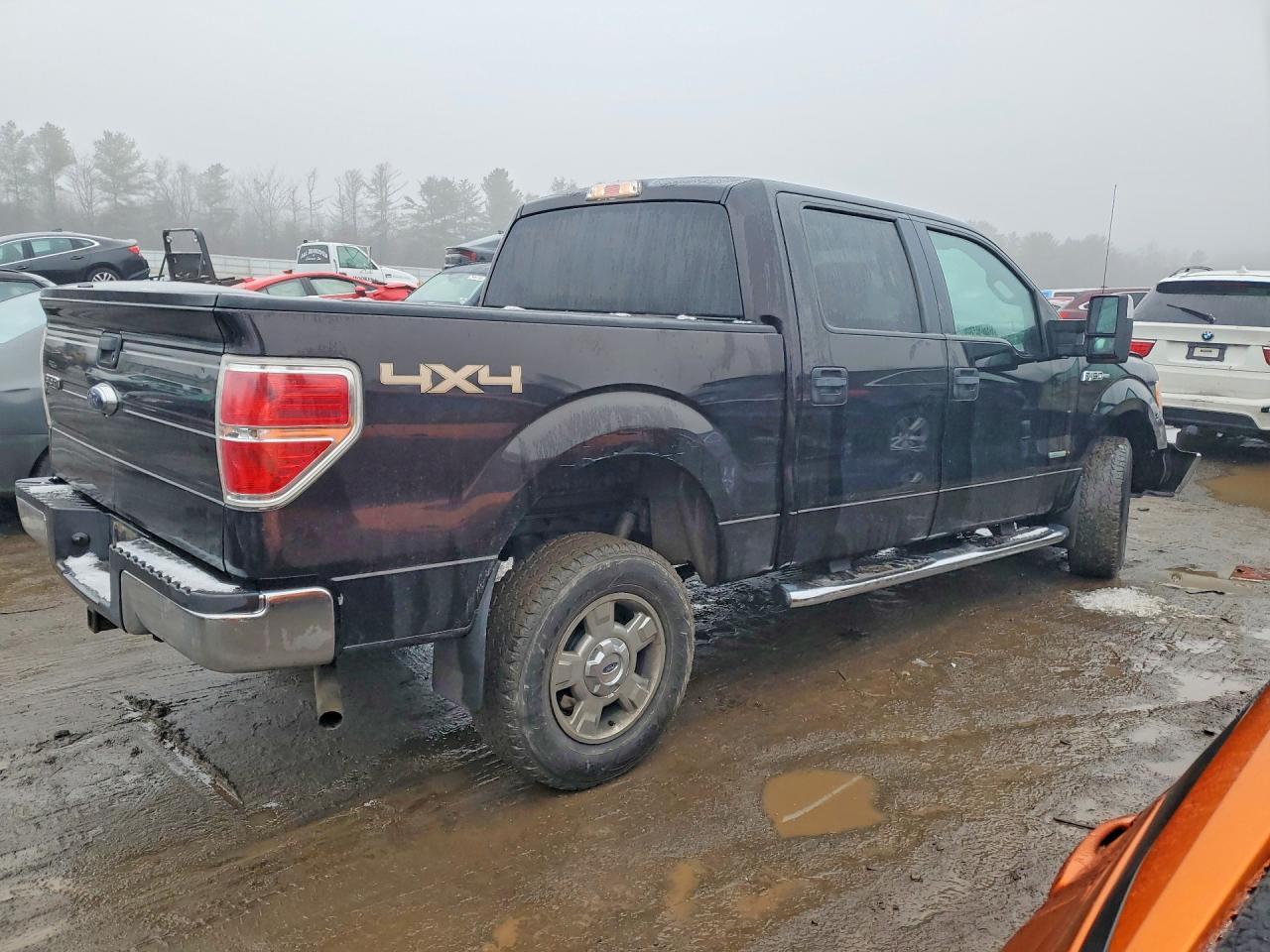 2013 FORD F-150