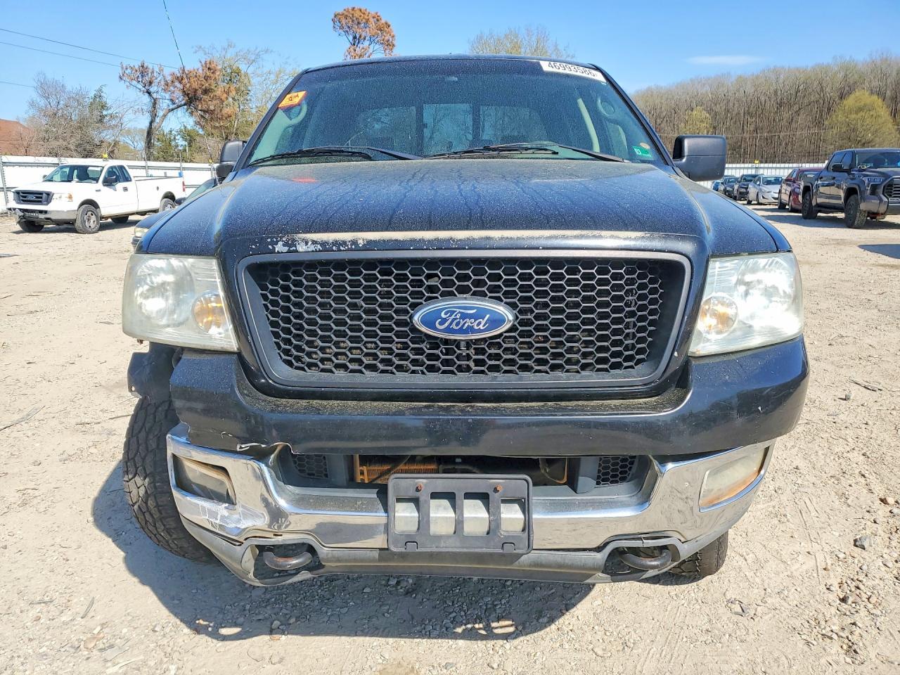 2004 FORD F-150 Lightning