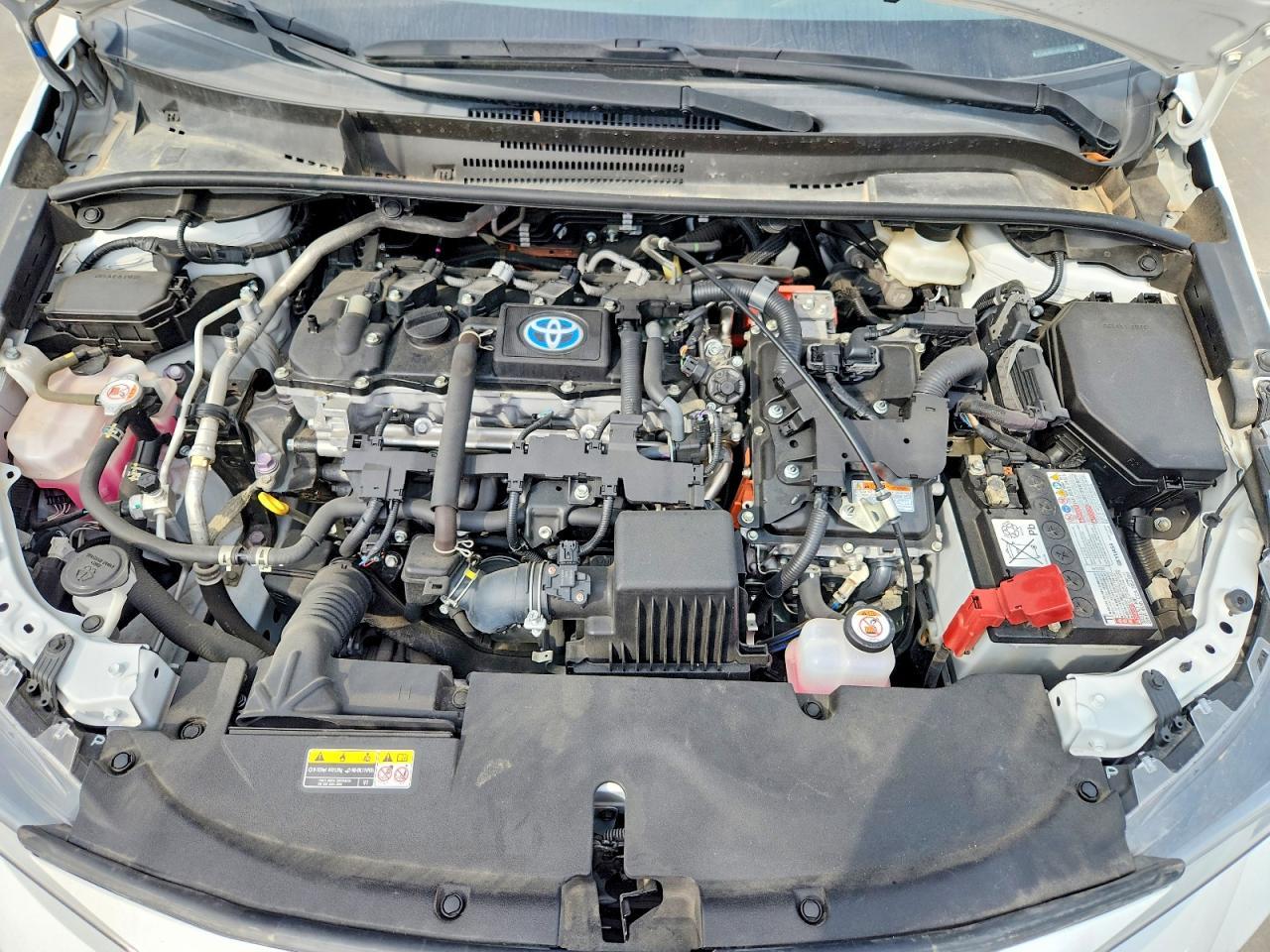2024 TOYOTA COROLLA