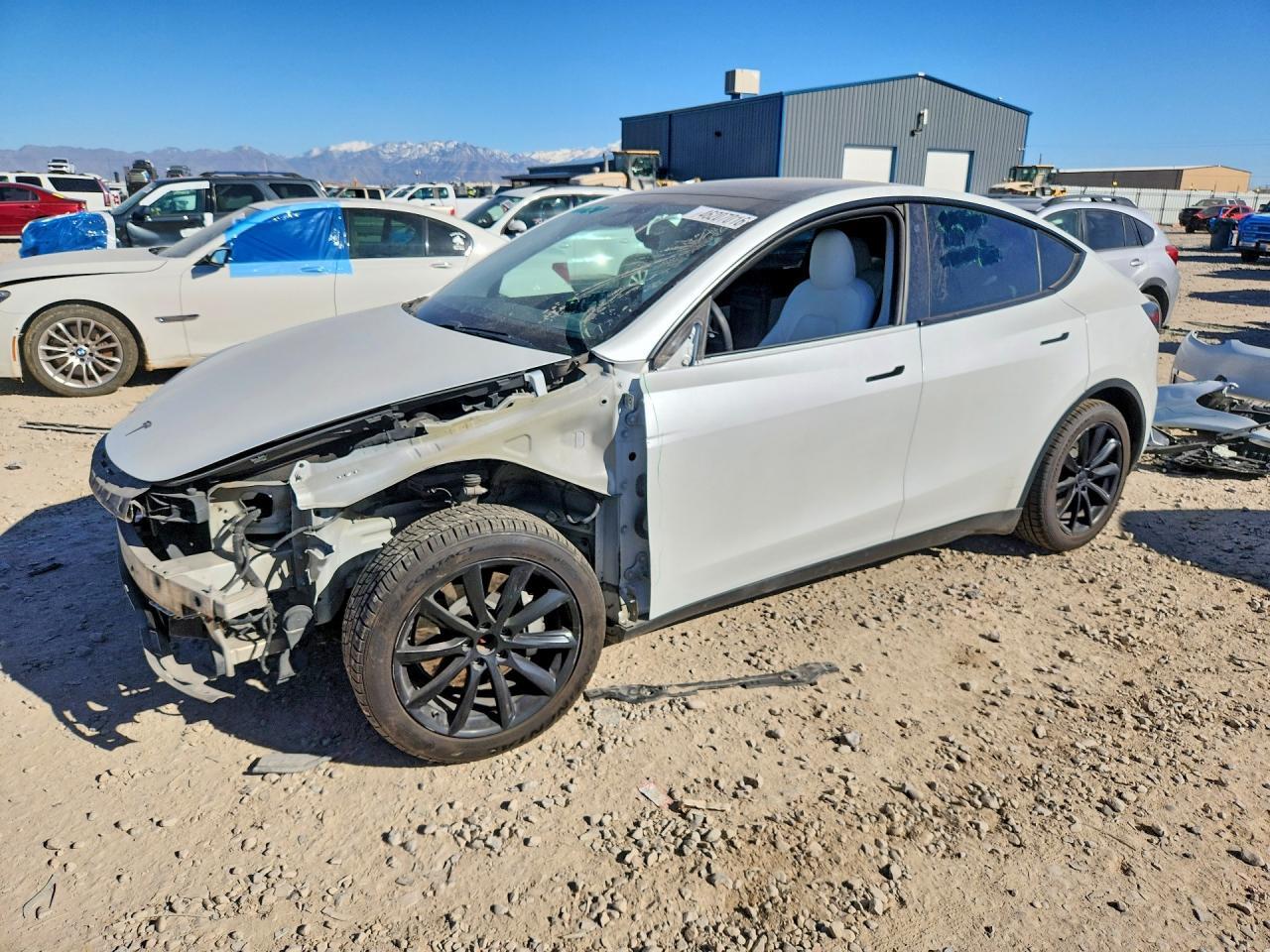 2020 TESLA MODEL Y