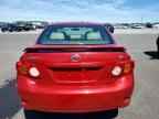 2009 TOYOTA COROLLA
