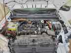 2024 FORD Maverick