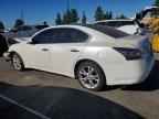 2013 NISSAN Maxima