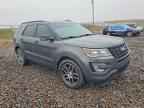 2016 FORD Explorer Sport Trac